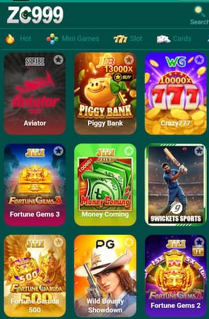 ZC999 Download