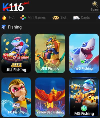 K116 APP